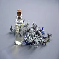 Lavendel etherische olie handgemaakteskincare